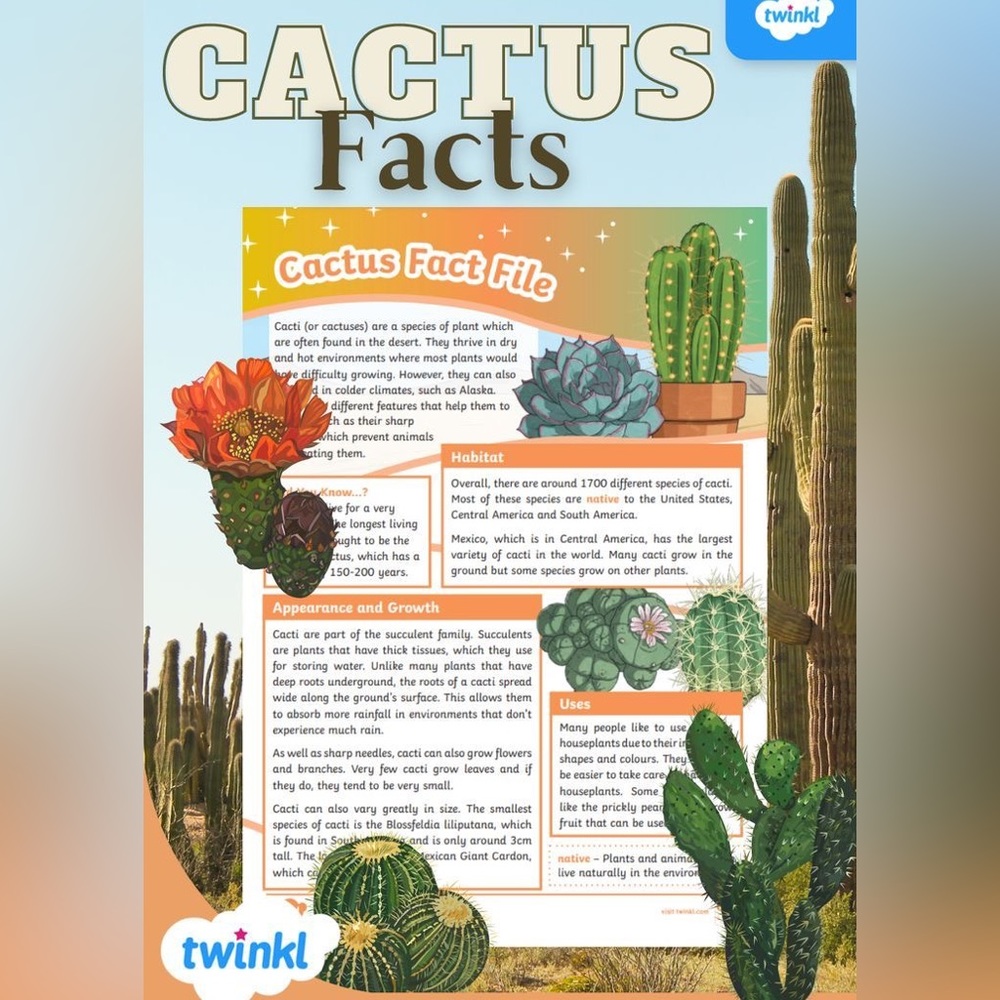 $1 NAIL STICKER SHEET. NEW. $1 WITH ANY $10 ORDER OR MORE - Picture 2 of 14